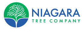 Niagara Tree Company Logo